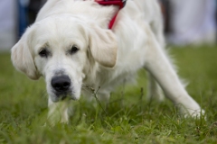 2024_07_Rock-and-Ride-Samstag-frueh-4504