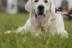 2024_07_Rock-and-Ride-Samstag-frueh-4509