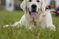 2024_07_Rock-and-Ride-Samstag-frueh-4510